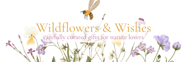 Wildflowers & Wishes